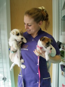 Puppy love
