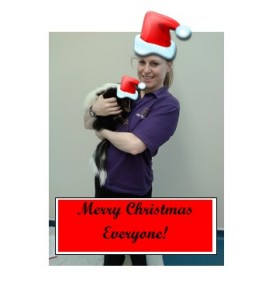Merry Christmas everyone , from me and Christmas Skunk!