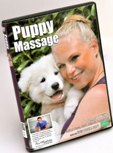 Digital upload instructions. Puppy Massage DVD. Release date 20th August 2016