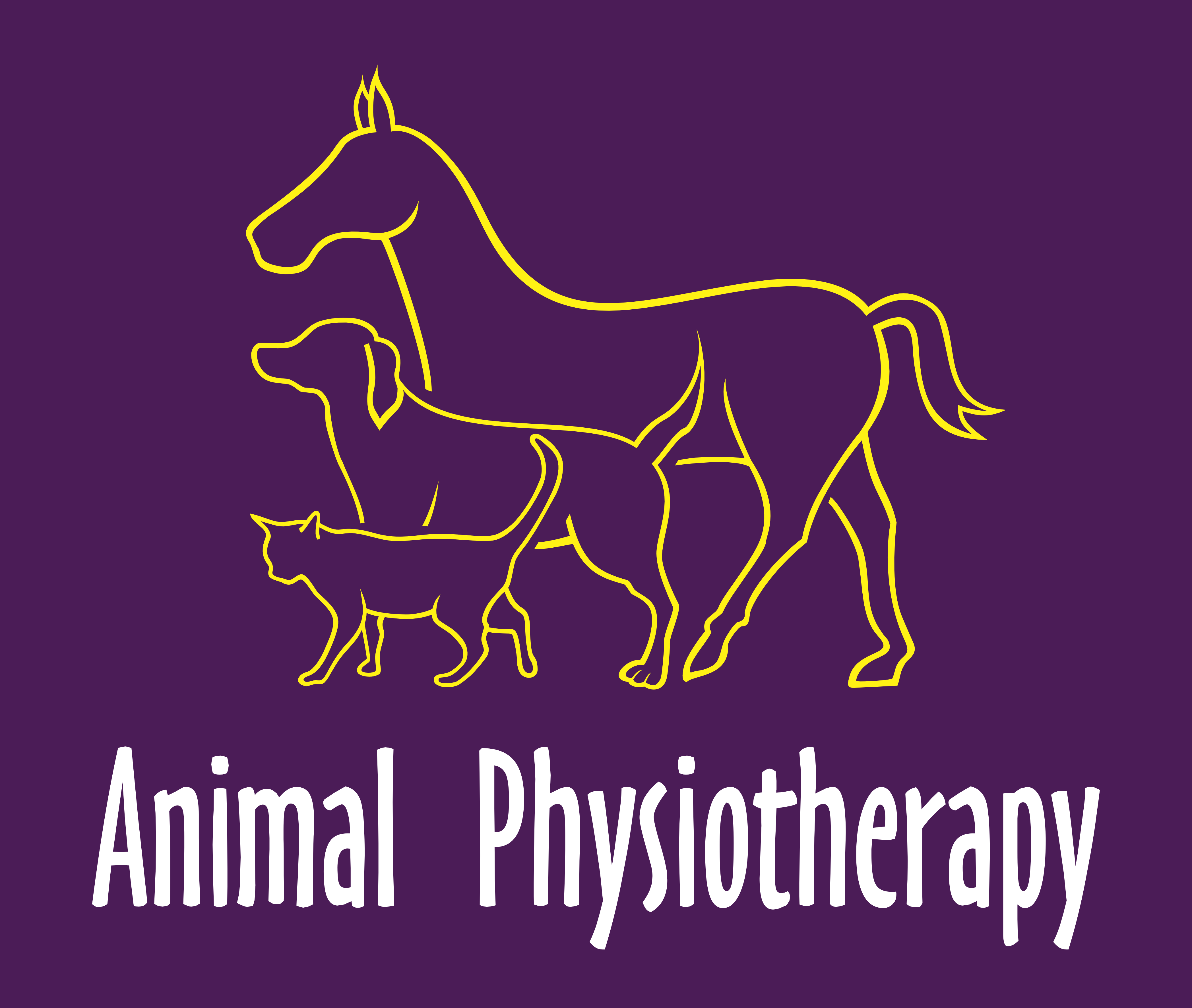 Animal Physiotherapy - Animal PhysiotherapyAnimal Physiotherapy | The caring therapeutic touch for your animals Animal Physiotherapy - Animal PhysiotherapyAnimal Physiotherapy | The caring therapeutic touch for your animals